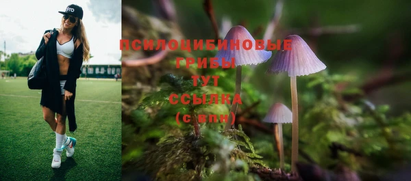 прущая мука Алексеевка
