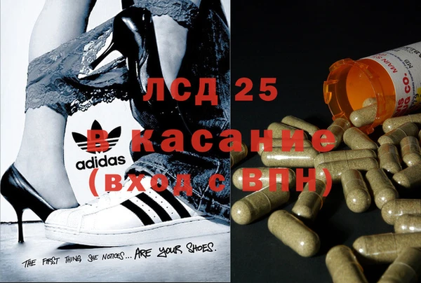 мяу мяу мука Алексин
