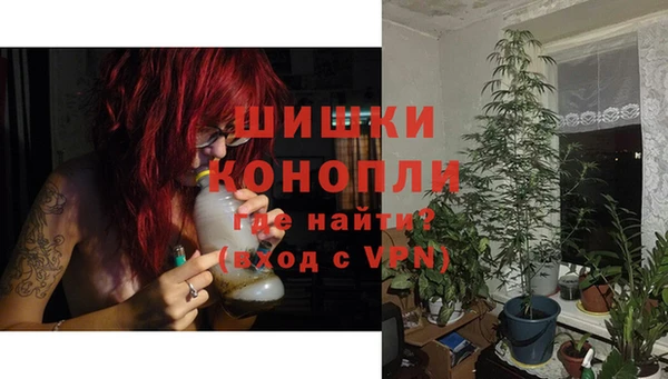PSILOCYBIN Абаза