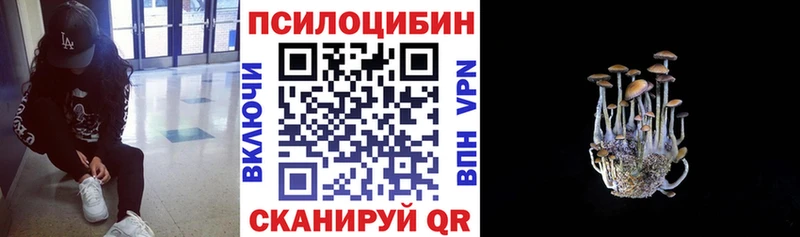 Псилоцибиновые грибы MAGIC MUSHROOMS Енисейск