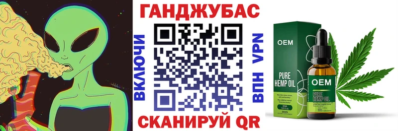 купить   Енисейск  Каннабис Amnesia 